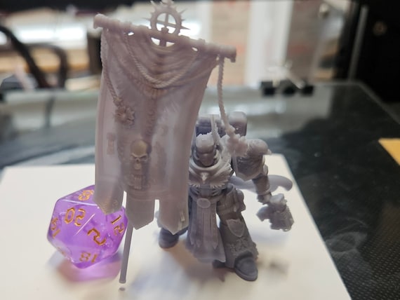 Imperial Marine Flag Bearer