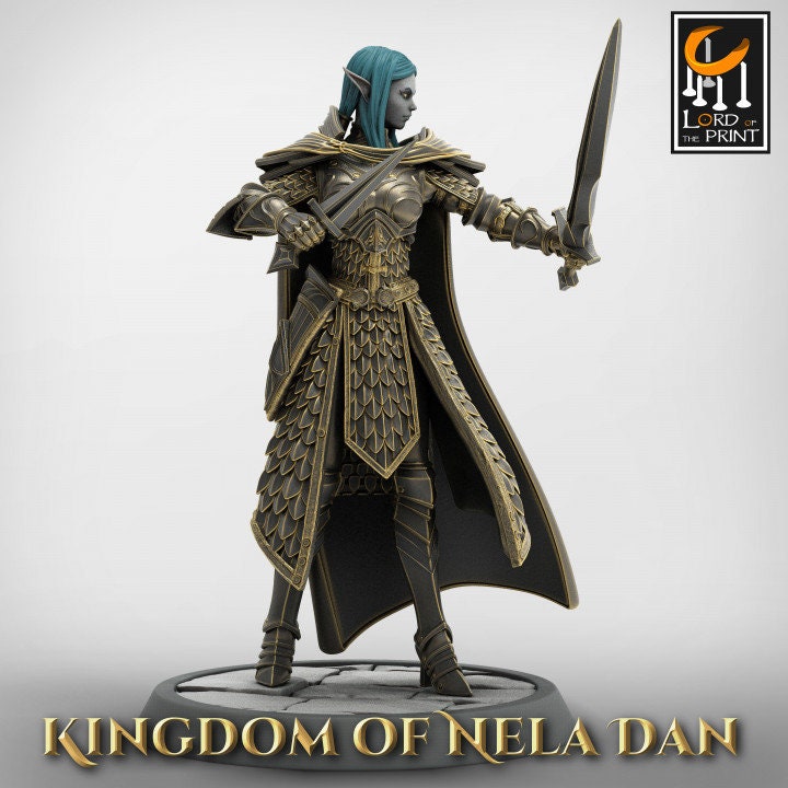 Dual-Wielding Elf Warrior From Lord of the Print