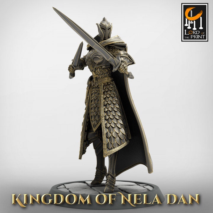 Dual-Wielding Elf Warrior From Lord of the Print