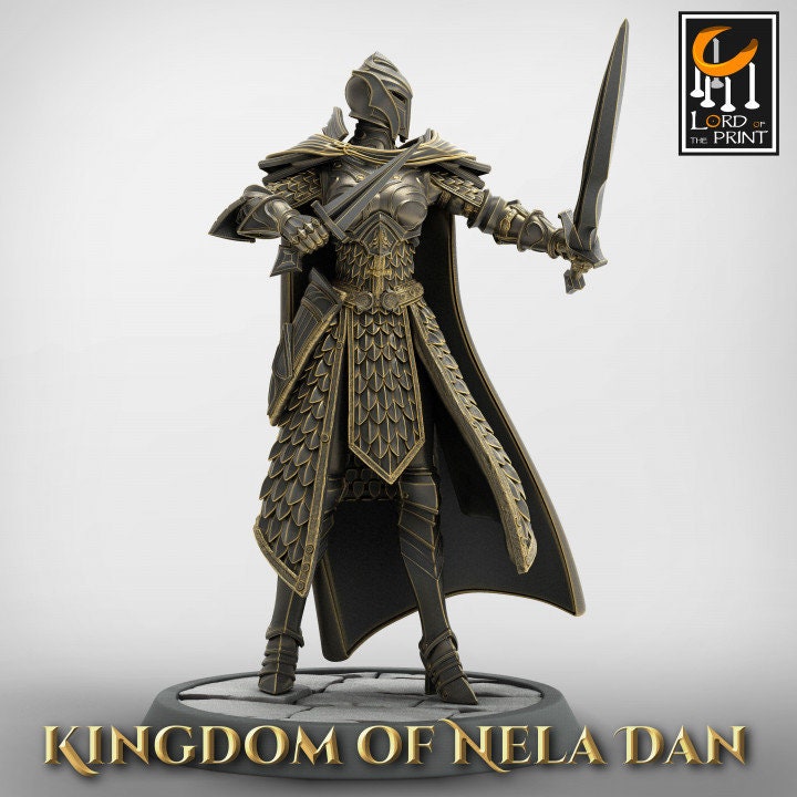 Dual-Wielding Elf Warrior From Lord of the Print