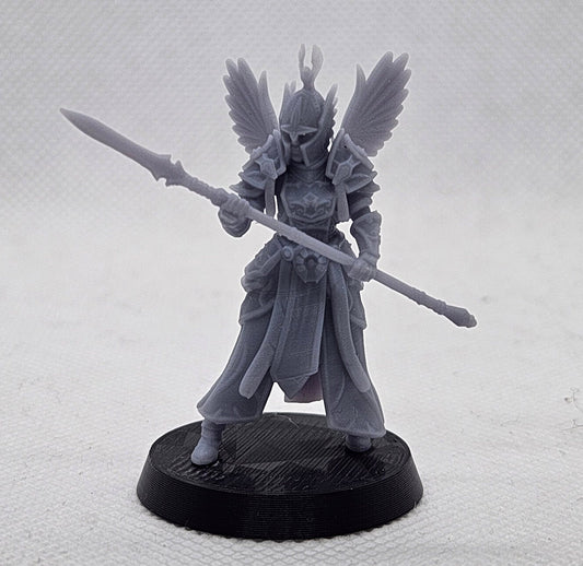 Valkyrie Warrior with Spear