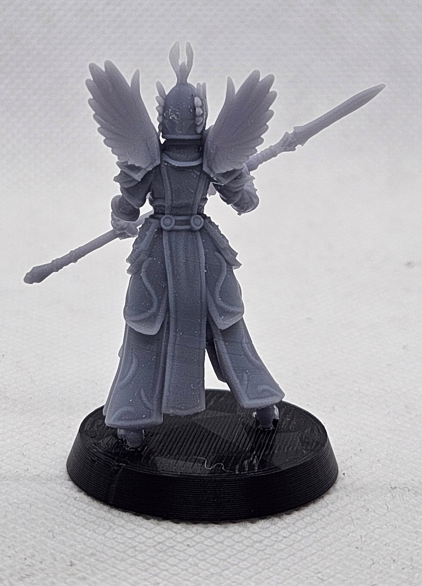 Valkyrie Warrior with Spear